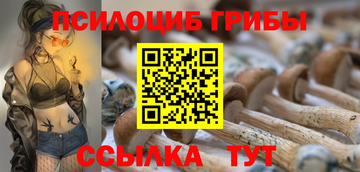 Асино  Галлюциногенные грибы прущие грибы  Вход с VPN  Галлюциногенные грибы Psilocybine cubensis 