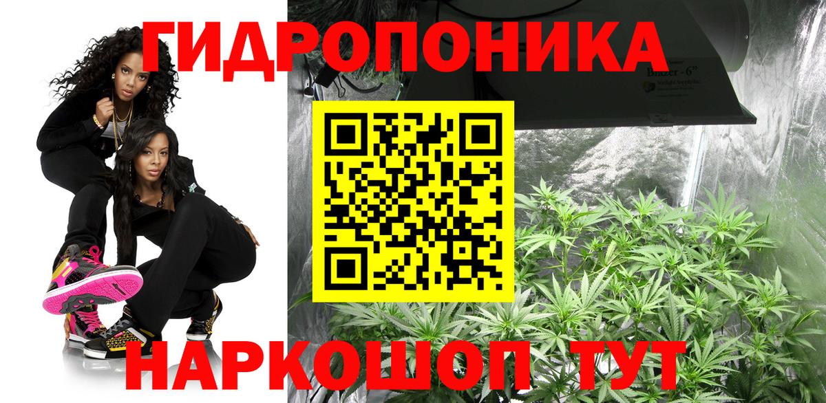 Канабис White Widow  МАРИХУАНА Amnesia  Конопля SATIVA & INDICA  Вход с VPN  Конопля марихуана  Асино 